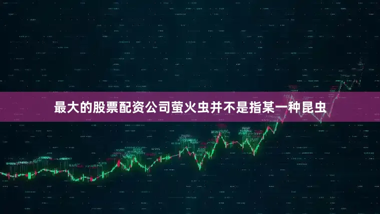最大的股票配资公司萤火虫并不是指某一种昆虫
